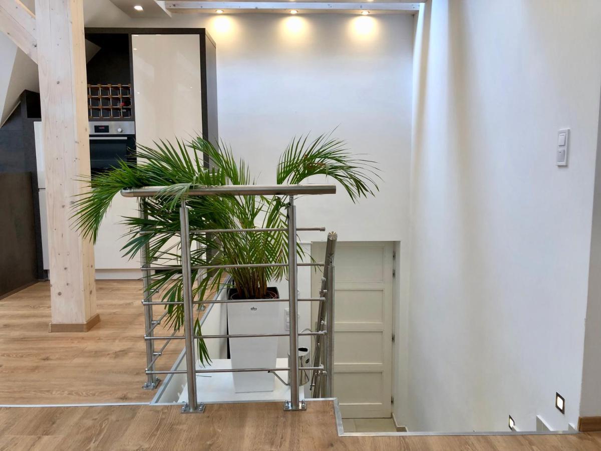 Buda Valley: With Garden Apartment Budapest